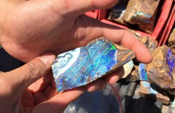 Queensland Boulder opal