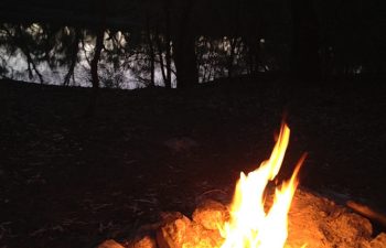 Campfire near Cunnamulla