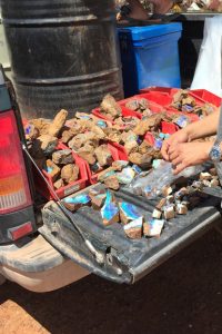 Selecting the best pieces of rough Boulder opal to cut
